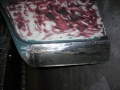 DSCN4606